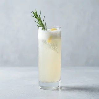 Rosemary Gin Fizz