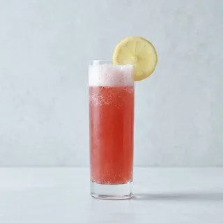 Sloe Gin Fizz